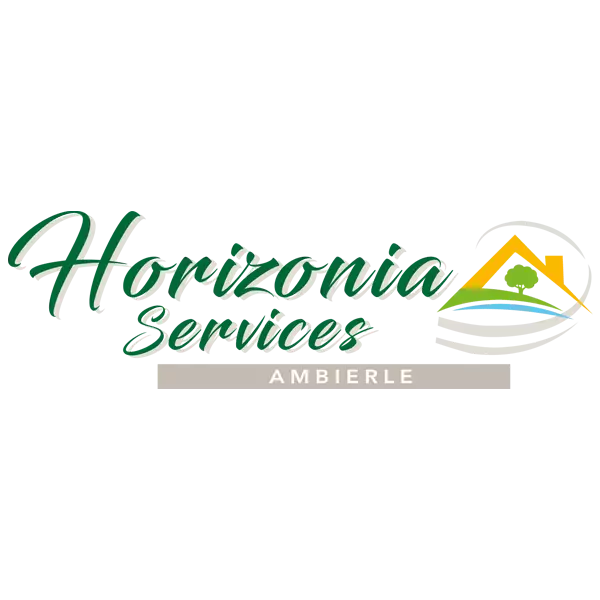 Création du logo Horizonia Serices