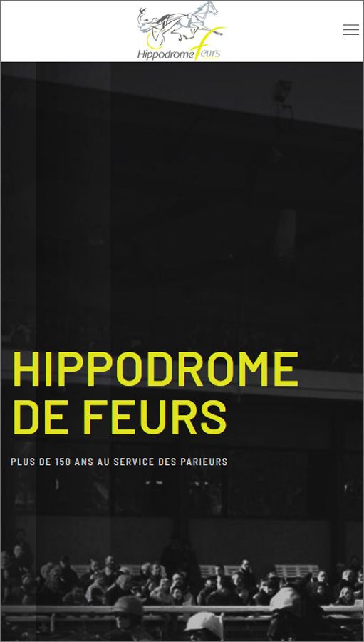 Création de site internet pour le domaine publique