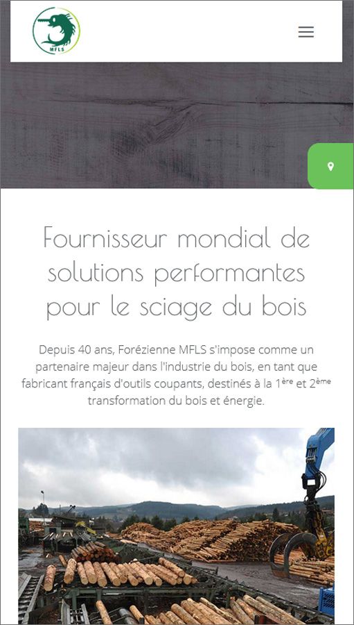 Création de site internet pour le groupe MFLS