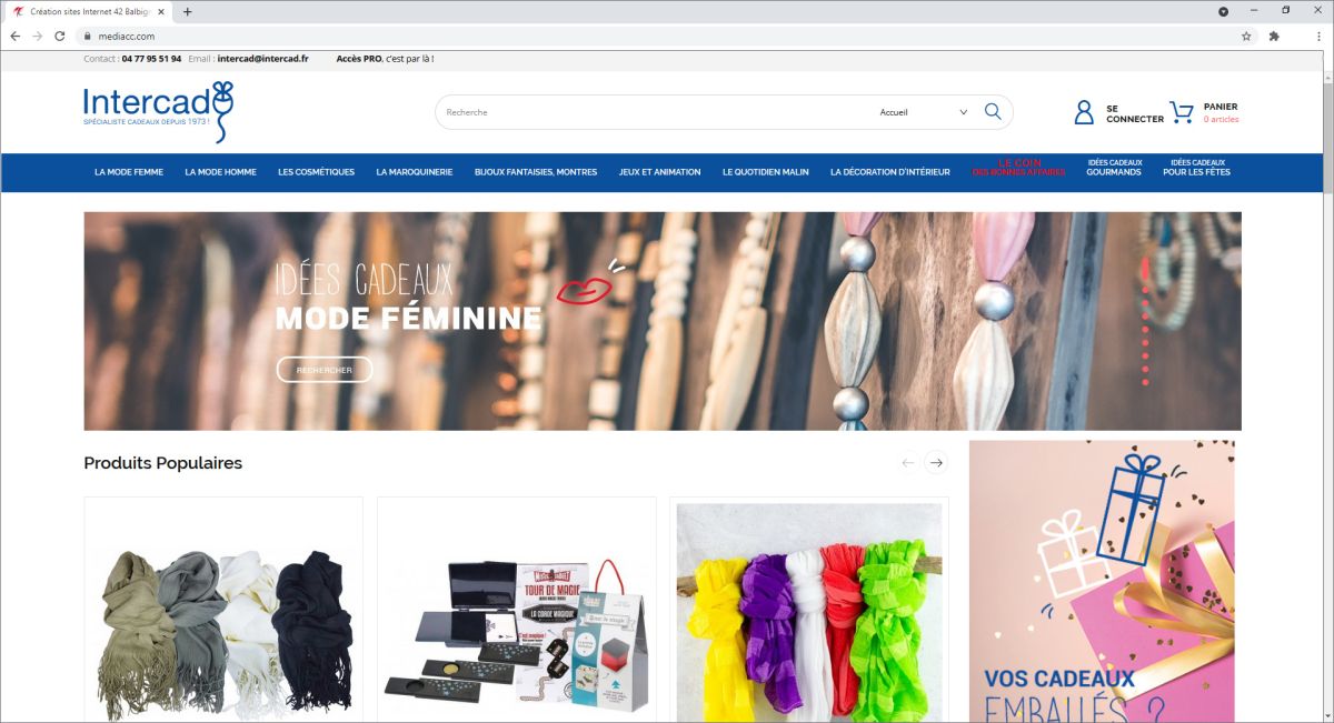 Création de site internet boutique réservé au professionnels avec Prestashop