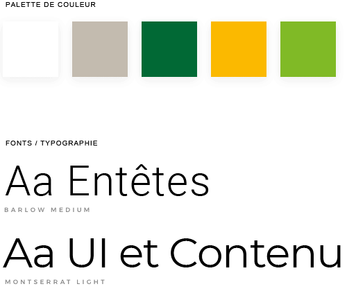 Palette graphique et typographie d'un site Web