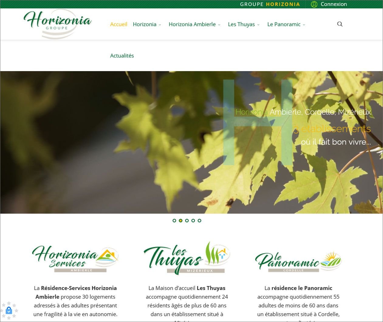 Création site Joomla pour Horizonia établissement de gestion pour adultes présentant des fragilités.