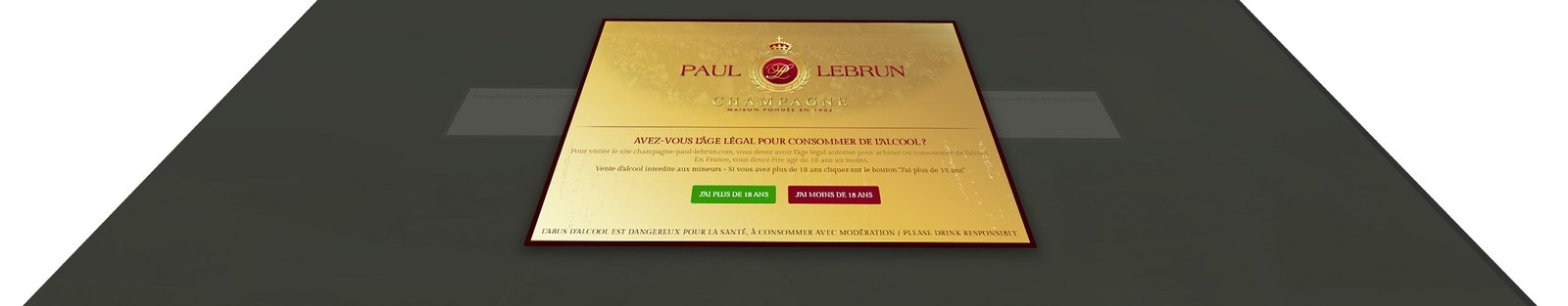 CRéation de site avec un disclaimer
