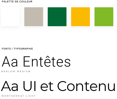 Palette graphique et typographie d'un site Web