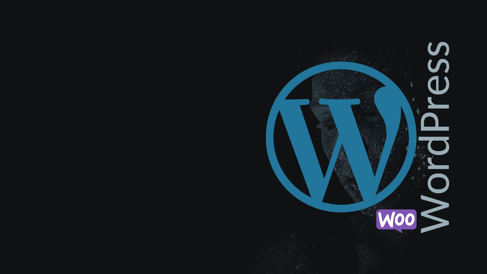 Création de blog sous WordPress