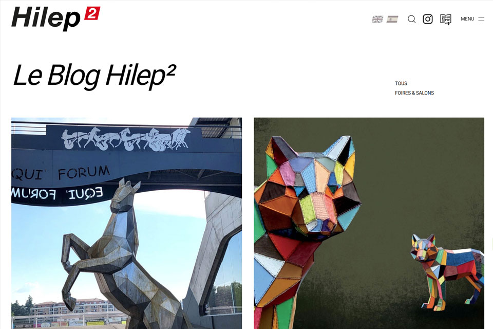 Exemple N°1 de page WordPress pour Hilep2