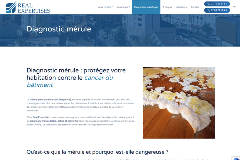 Exemple N°2 de page WordPress pour Real Expertises