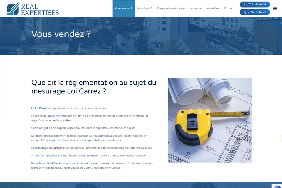 Exemple N°3 de page WordPress pour Real Epertises