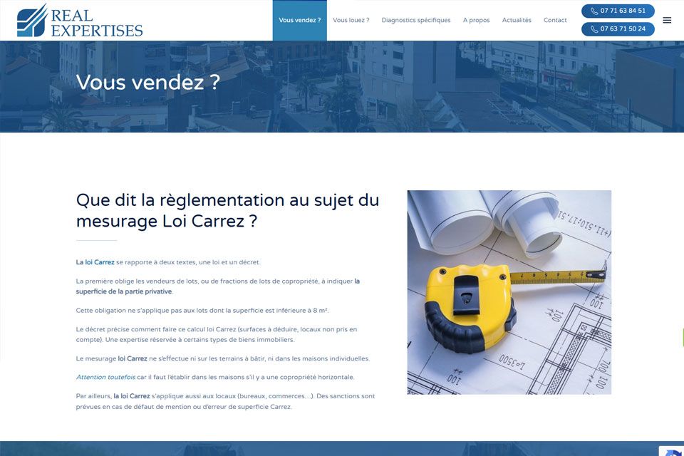 Exemple N°3 de page WordPress pour Real Epertises